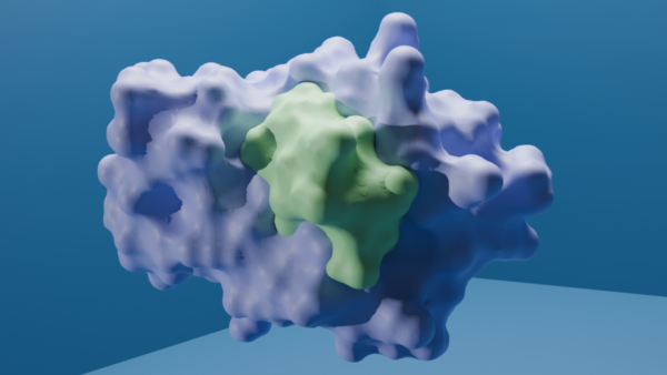 ABS241001 - Image 5
