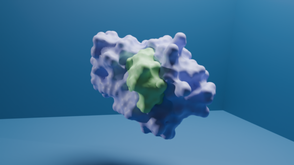 ABS241001 - Image 4